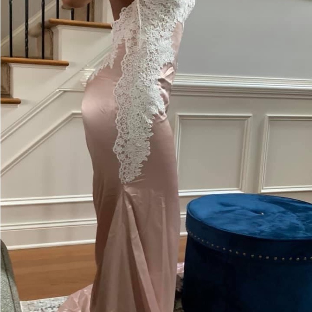 Blush Pink Formal Dress with lace/embroidered appliqué.